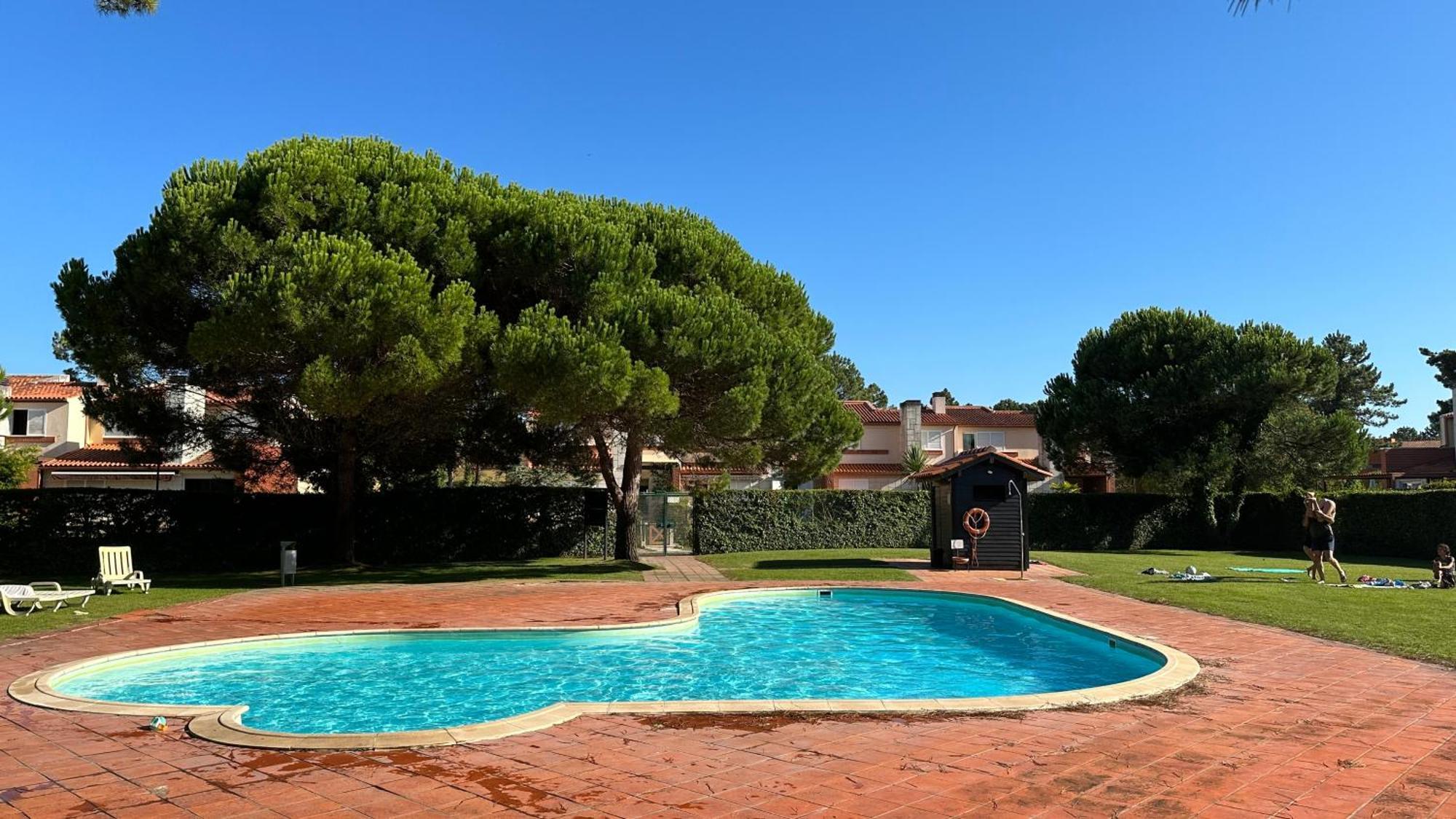 Forest Terrace Praia De Mira Exterior photo